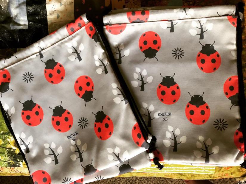 ladybug bag